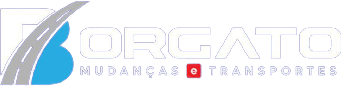 Borgato Mudanças e Transportes em Rondonópolis